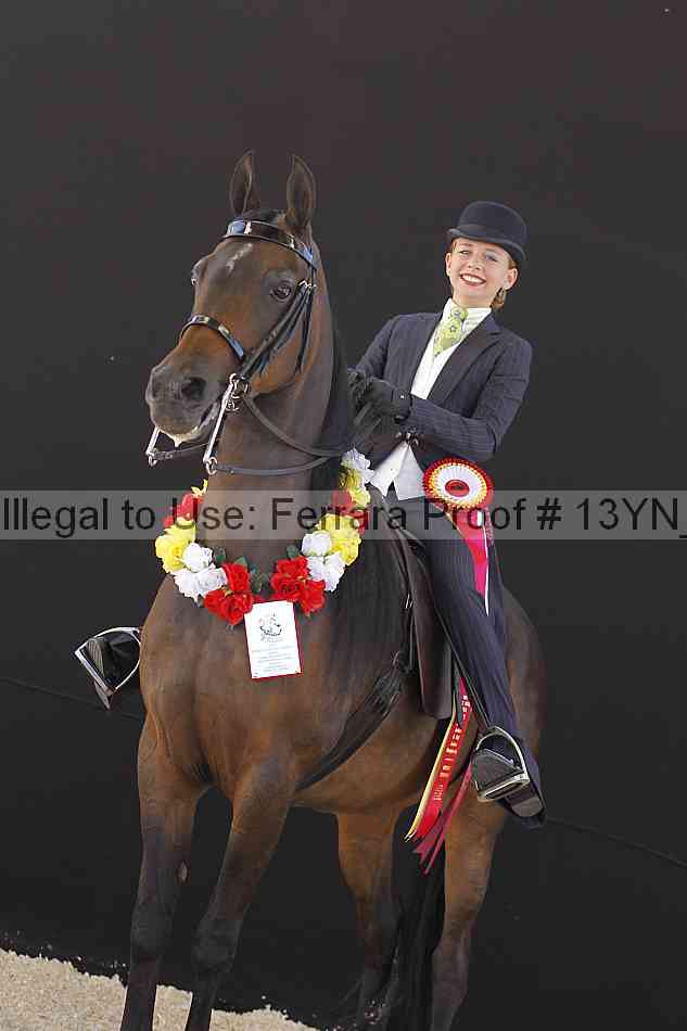 Proof 13yn_08034