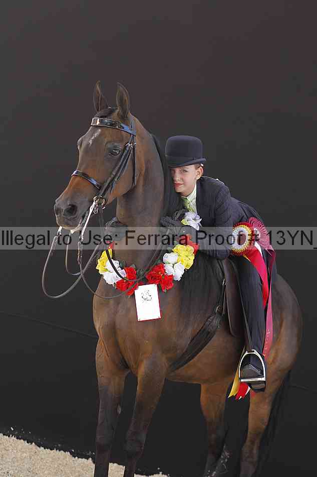 Proof 13yn_08035