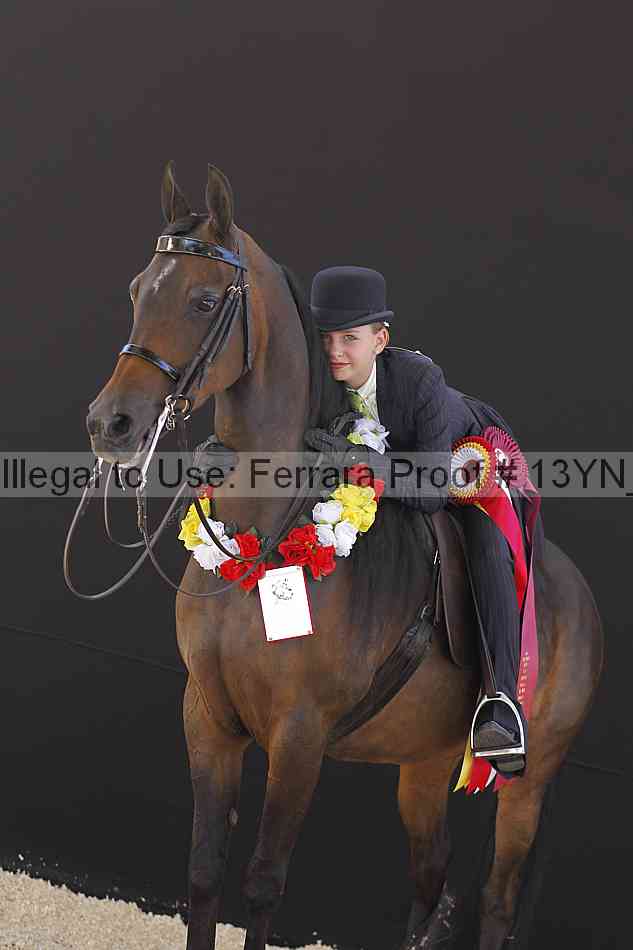 Proof 13yn_08036