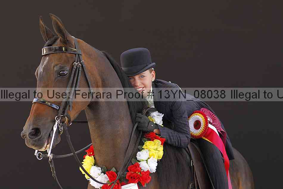 Proof 13yn_08038