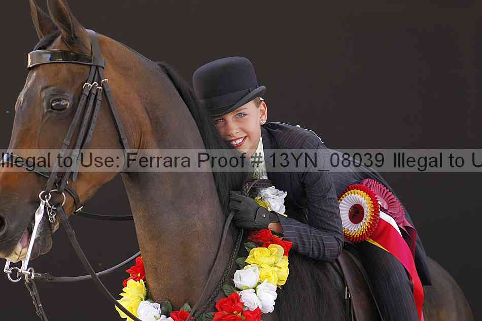 Proof 13yn_08039