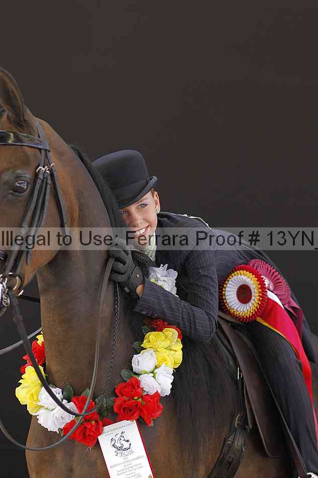 Proof 13yn_08041