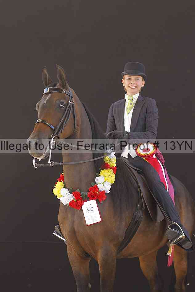 Proof 13yn_08043