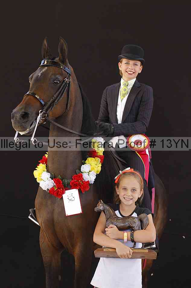 Proof 13yn_08049