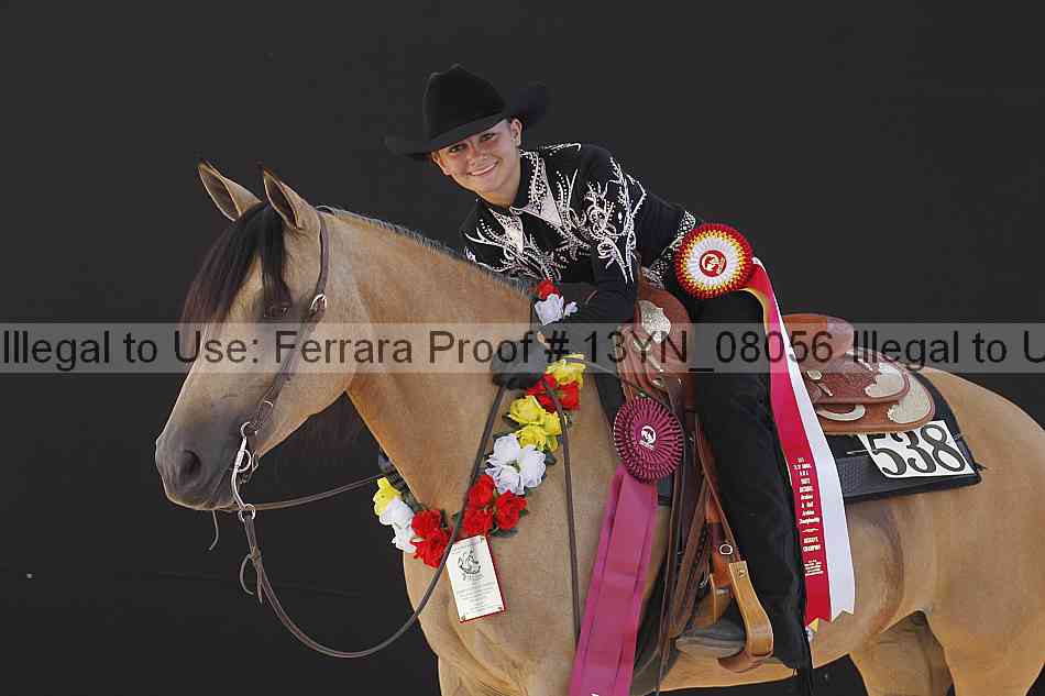 Proof 13yn_08056