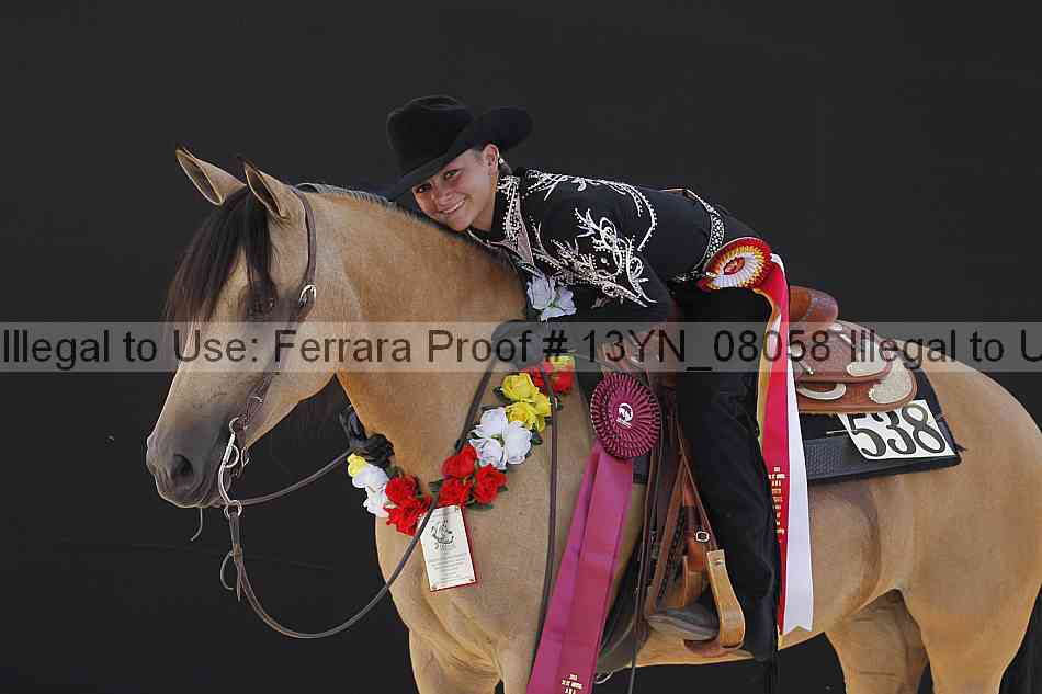 Proof 13yn_08058