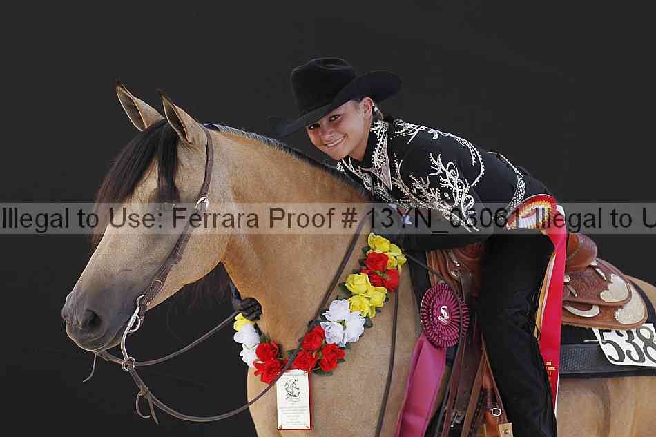 Proof 13yn_08061
