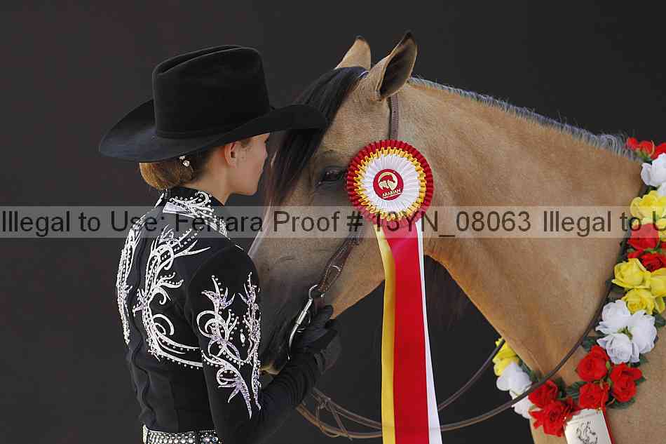 Proof 13yn_08063