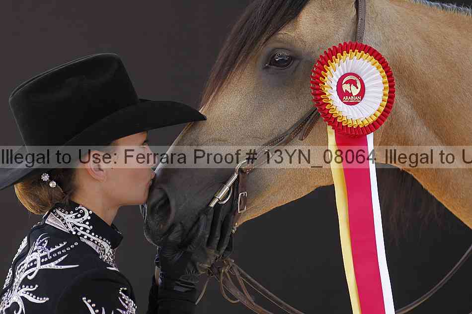 Proof 13yn_08064