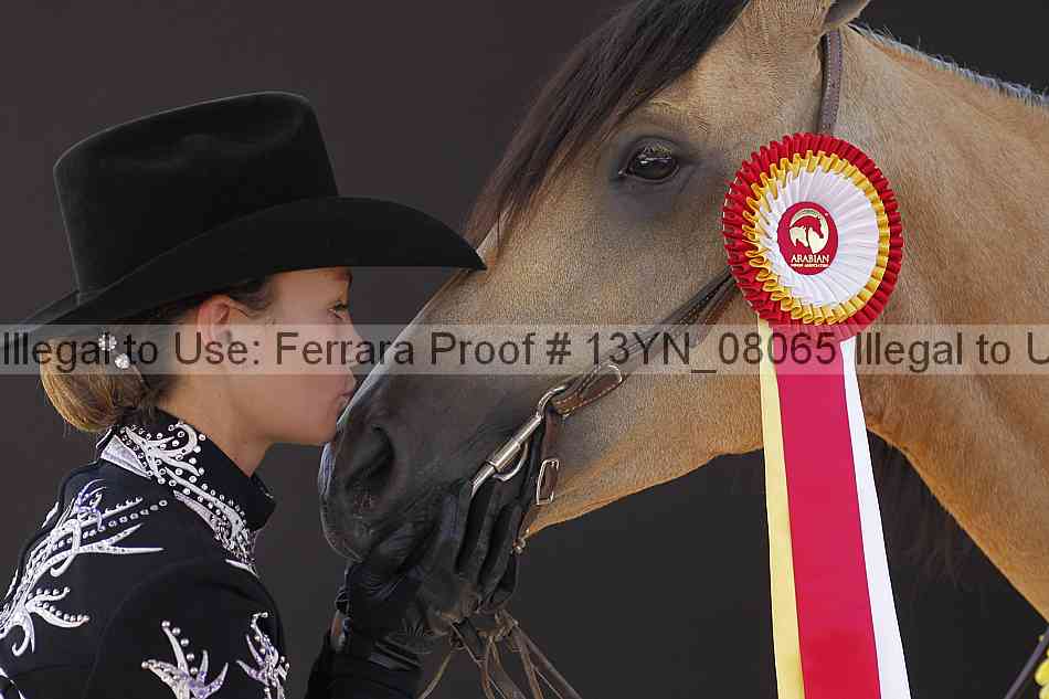 Proof 13yn_08065