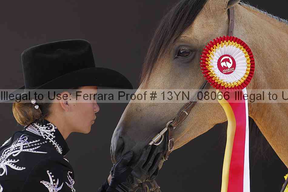 Proof 13yn_08066