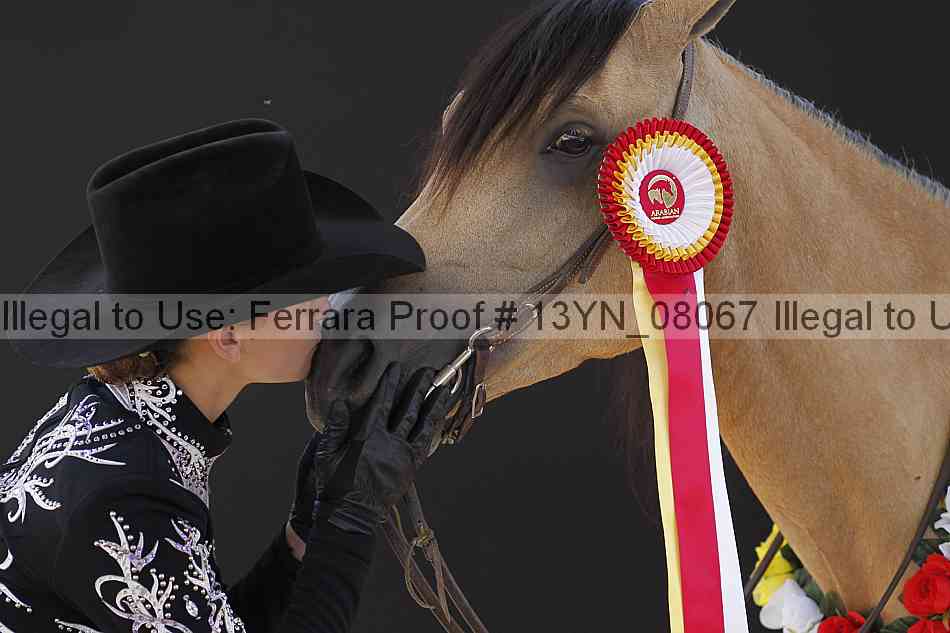 Proof 13yn_08067