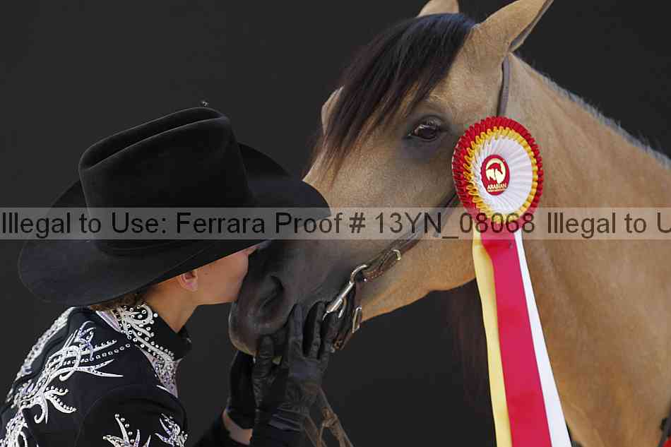 Proof 13yn_08068