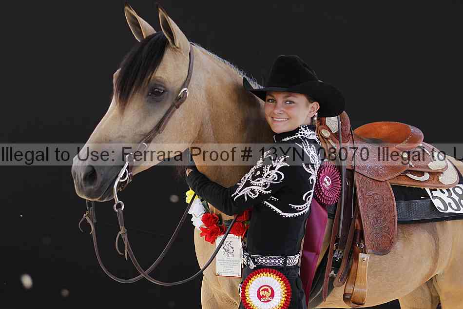 Proof 13yn_08070