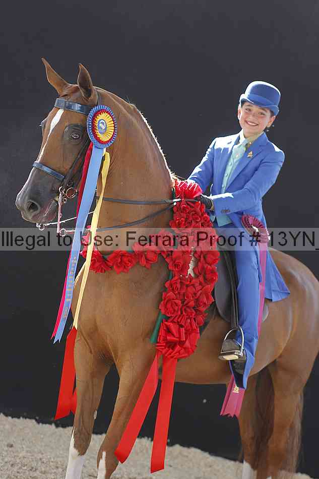 Proof 13yn_08075