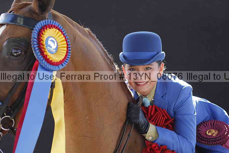 Proof 13yn_08076