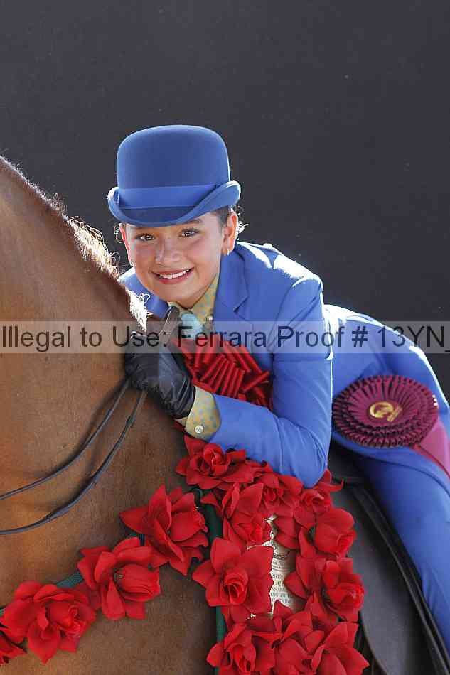 Proof 13yn_08077