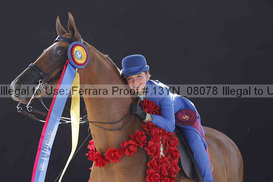 Proof 13yn_08078