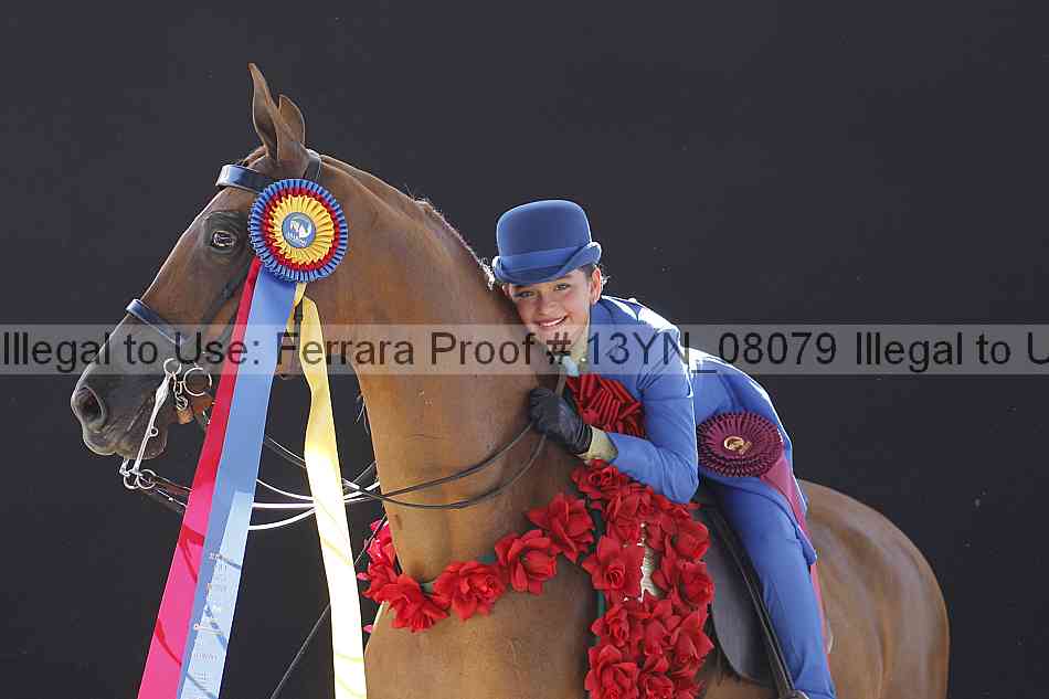 Proof 13yn_08079