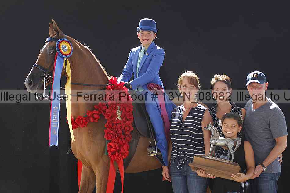 Proof 13yn_08082