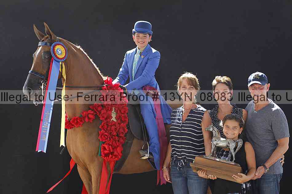 Proof 13yn_08083