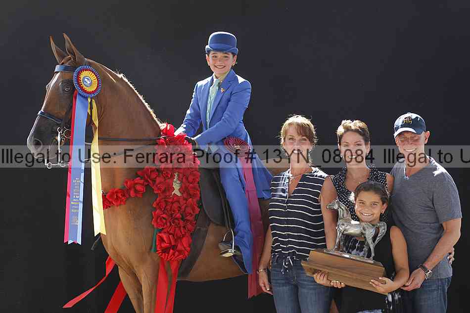 Proof 13yn_08084