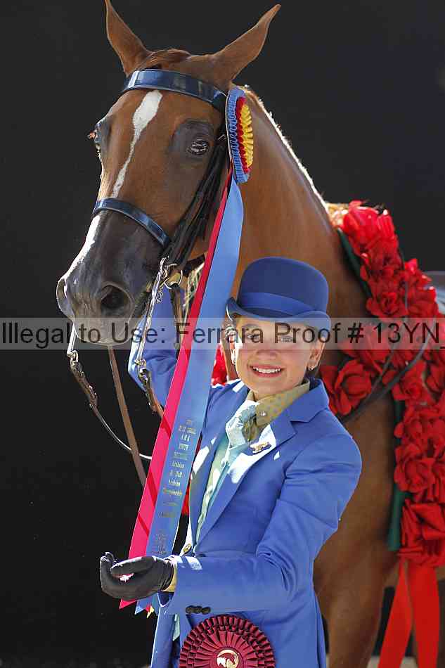 Proof 13yn_08085
