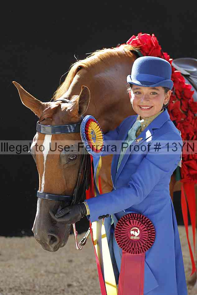 Proof 13yn_08086