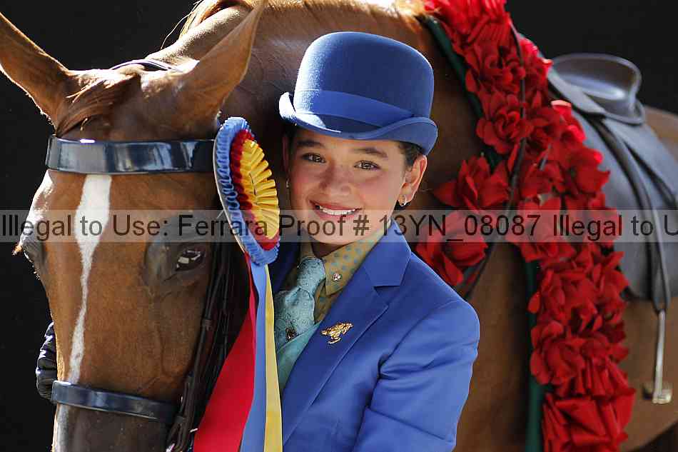 Proof 13yn_08087