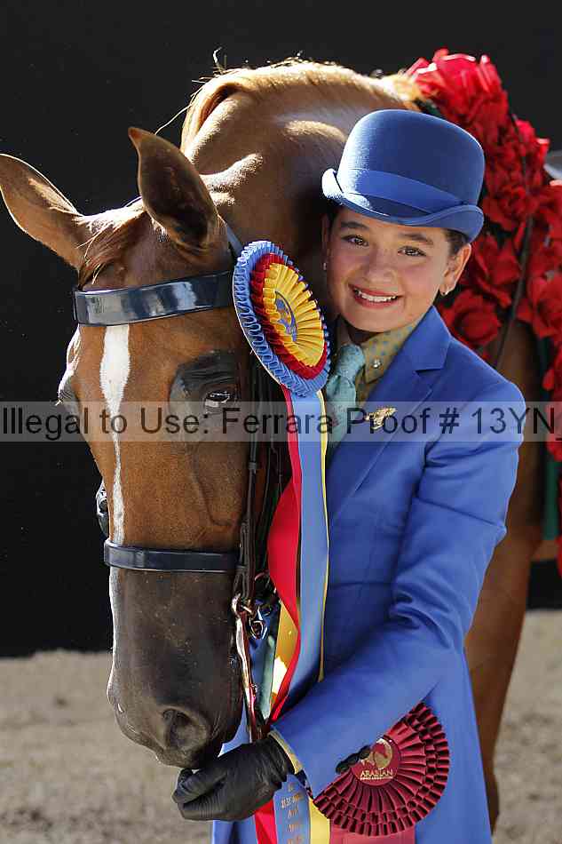 Proof 13yn_08088