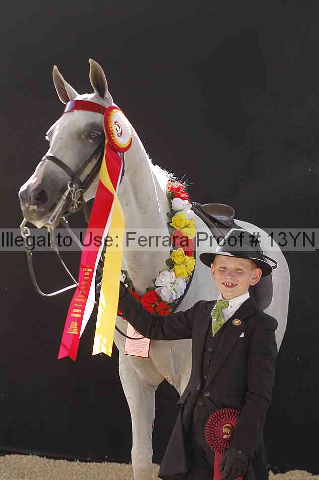 Proof 13yn_08096