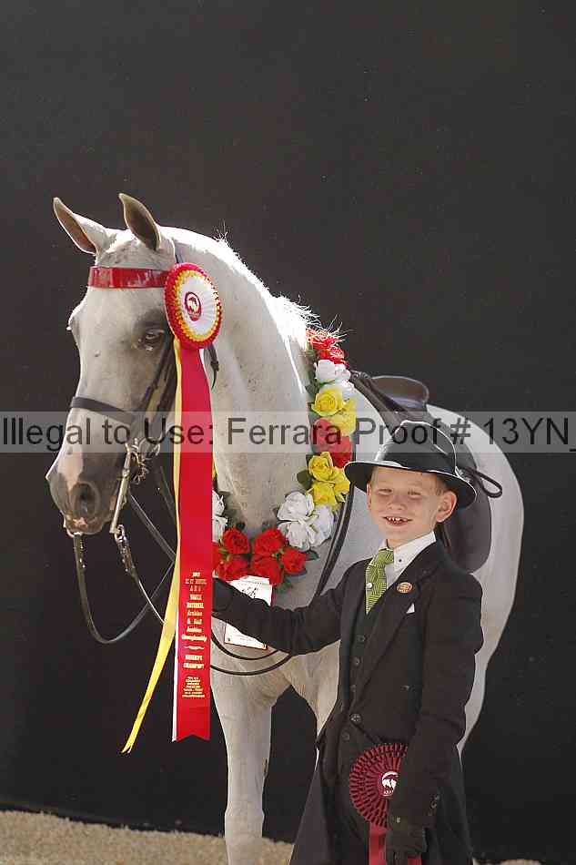 Proof 13yn_08097