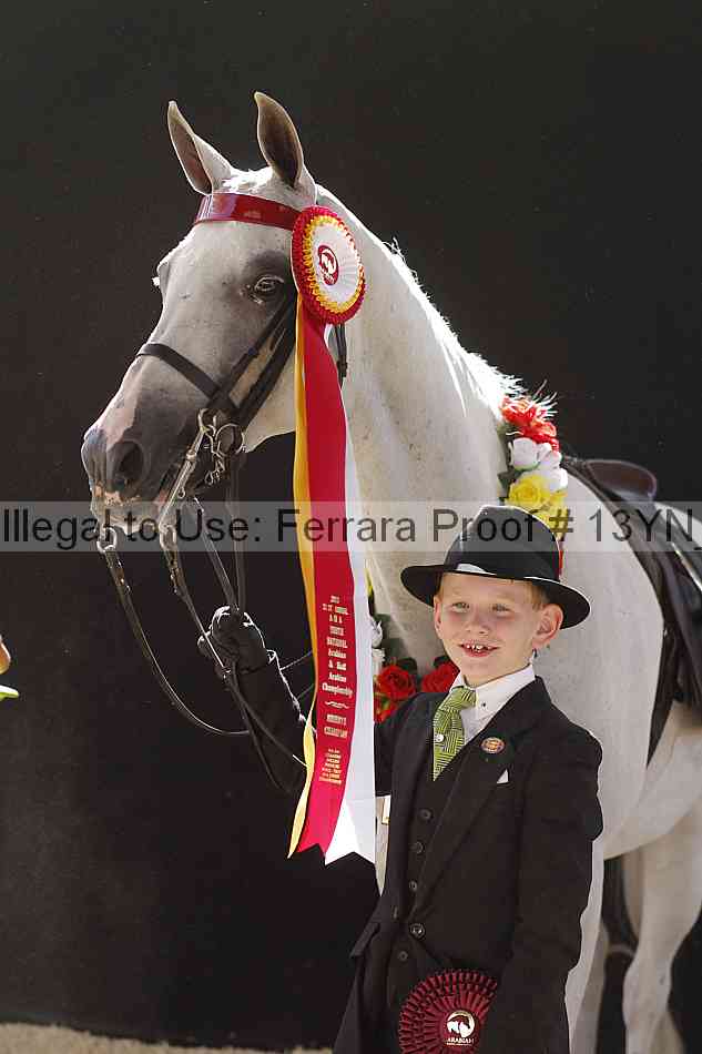 Proof 13yn_08098