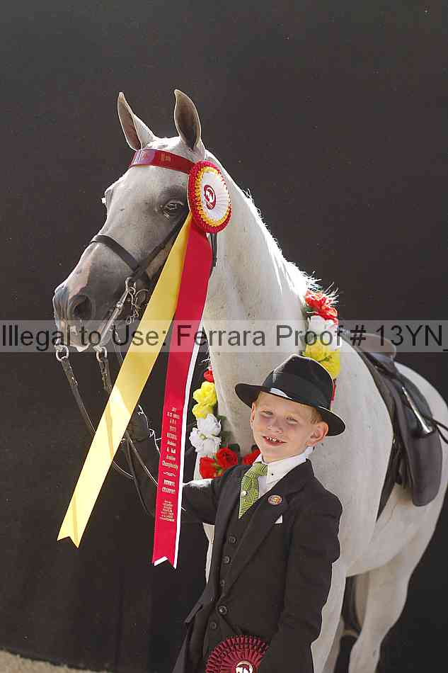 Proof 13yn_08099