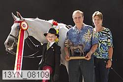 13yn_08109 proof