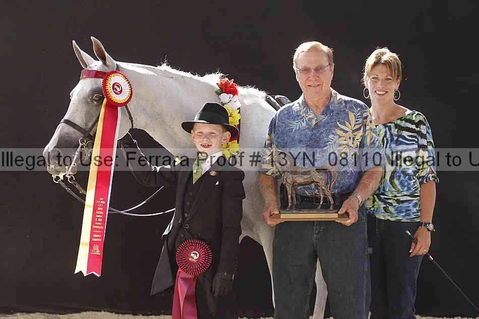 Proof 13yn_08110