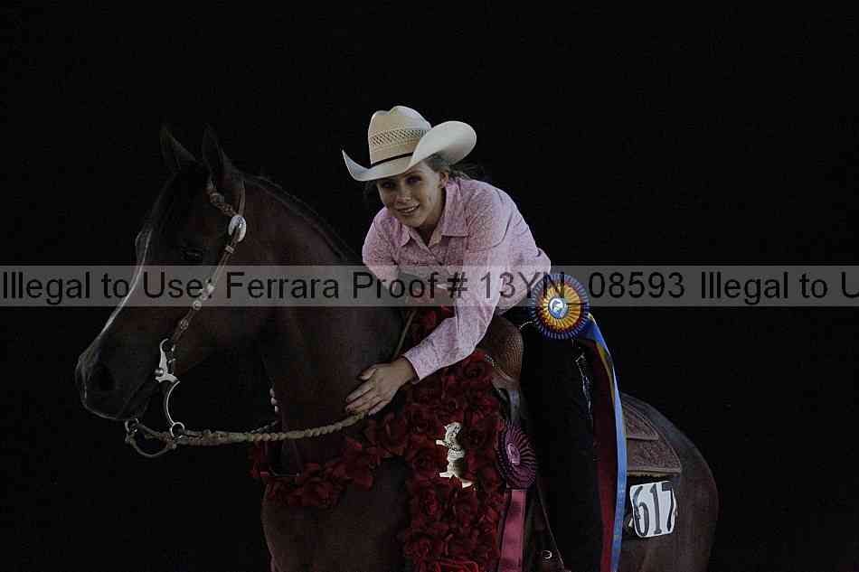 Proof 13yn_08593