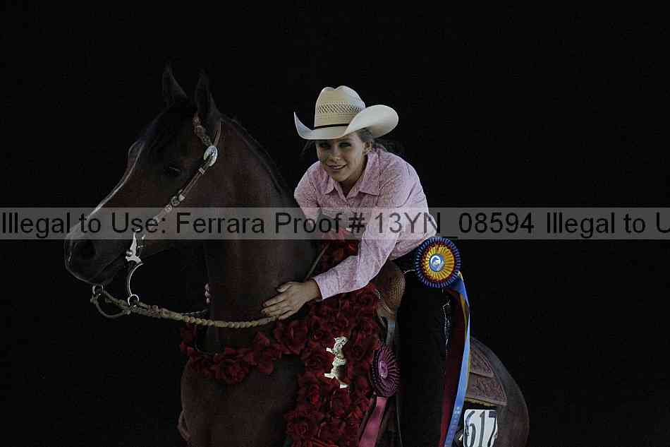 Proof 13yn_08594