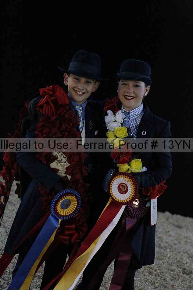 Proof 13yn_08596