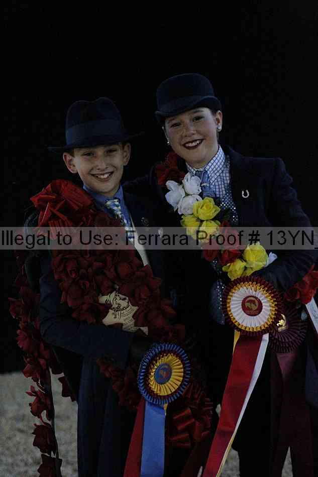 Proof 13yn_08597