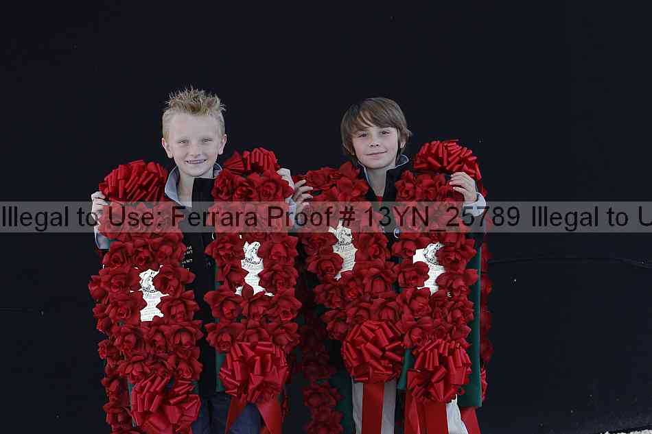 Proof 13yn_25789