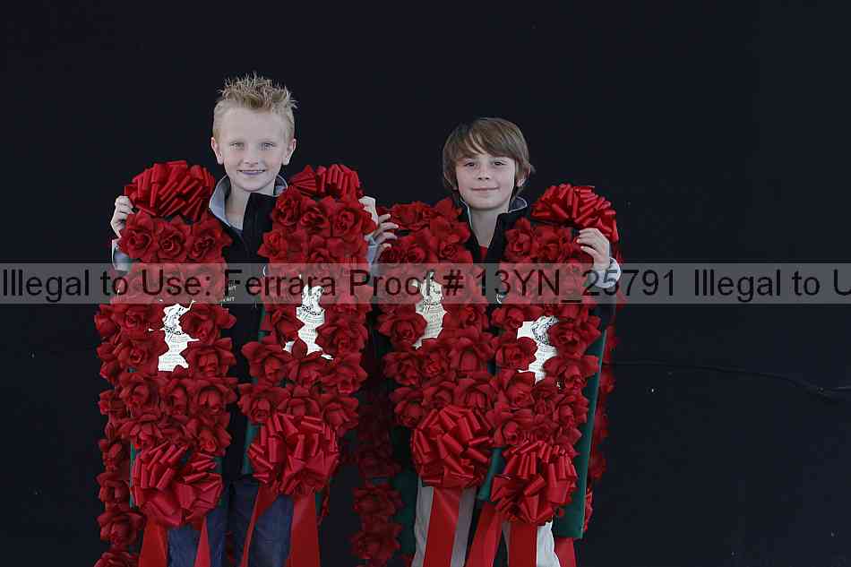 Proof 13yn_25791