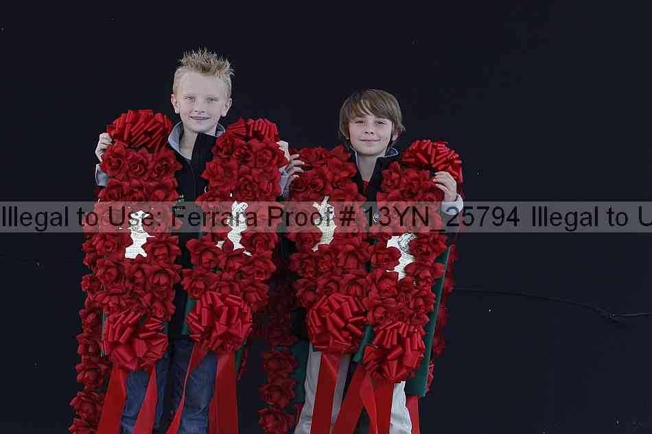 Proof 13yn_25794