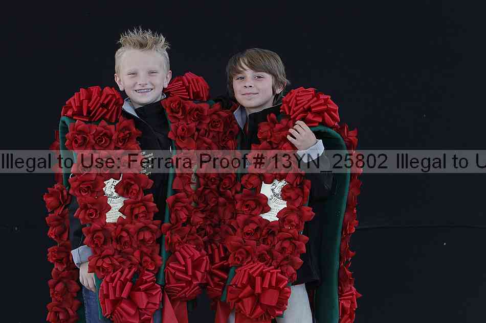 Proof 13yn_25802