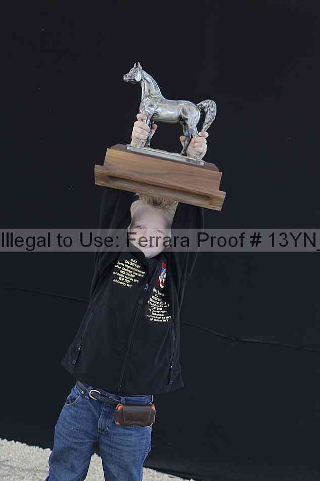 Proof 13yn_25814