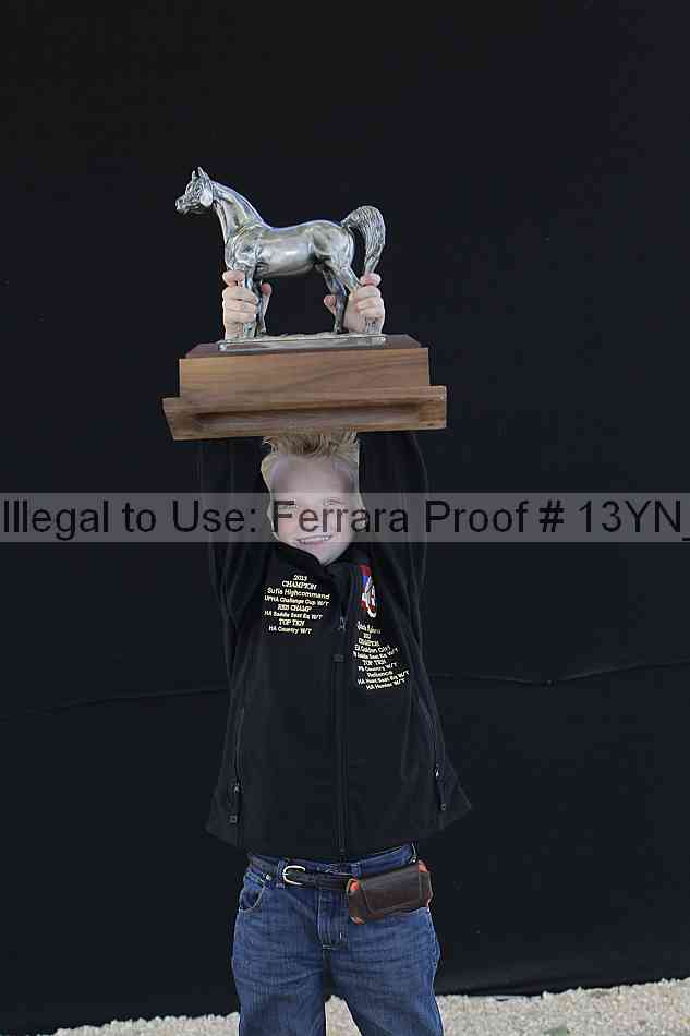 Proof 13yn_25815