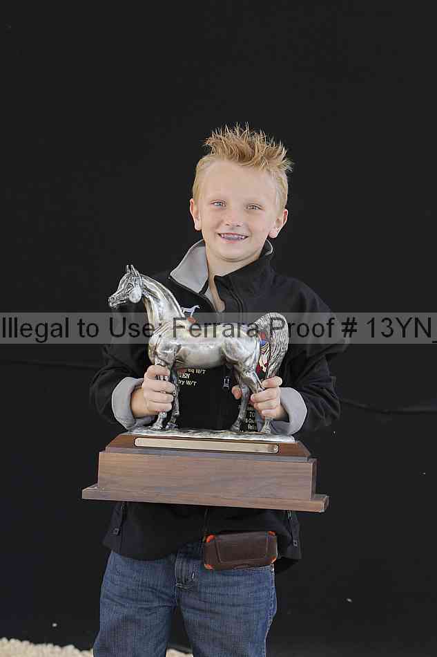 Proof 13yn_25816