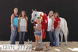 13yn_27729 proof