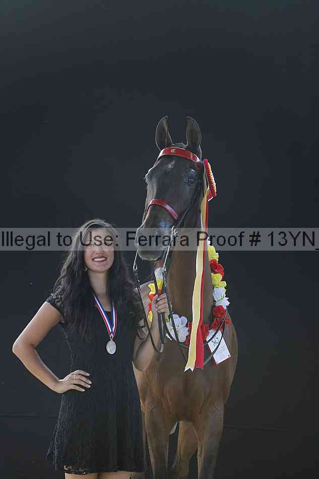 Proof 13yn_27962