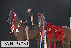 13yn_27981 proof